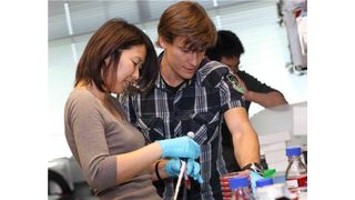 Ulrich Elling, Wissenschaftler in der Gruppe von Josef Penninger am IMBA, mit Kollegin an der Arbeit im Labor.  (Bild: IMBA/Hans Krist)