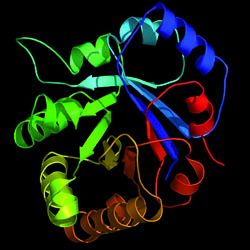 Enzyme in Waschmitteln (1968)    Enzyme sind Proteine, die biochemische Reaktionen steuern können. Enzyme haben wichtige Funktionen im Stoffwechsel aller lebenden Organismen: Sie steuern den überwiegenden Teil biochemischer Reaktionen - von der Verdauung bis hin zum Kopieren ( DNA-Polymerase ) und Transkribieren ( RNA-Polymerase ) der Erbinformationen. 1968 erfolgt die Einführung von Enzymen in das Waschmittel gegen den Schmutz. Diese sorgen für den schnelleren Abbau von Eiweiß, Fett und Stärke.   (Archiv: Vogel Business Media)
