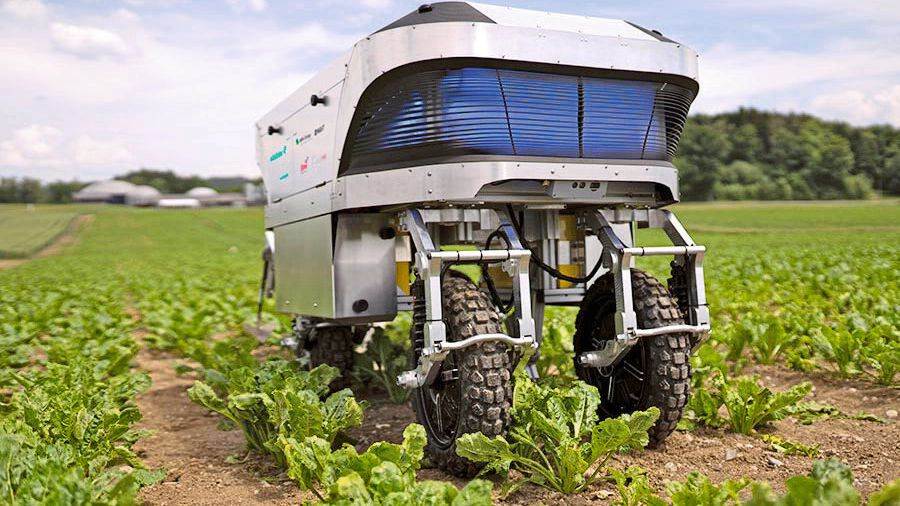 Autonomer Feldroboter rupft Unkraut