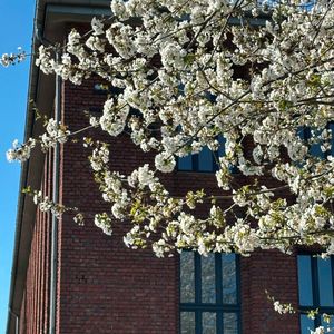 Bei bestem Wetter und frühlingshaften Temperaturen hat Acer zum Channel Kickoff 2025 ins Bauwerk nach Köln eingeladen. (Bild: Vogel IT-Medien)