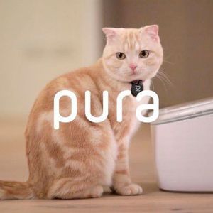 (pura)