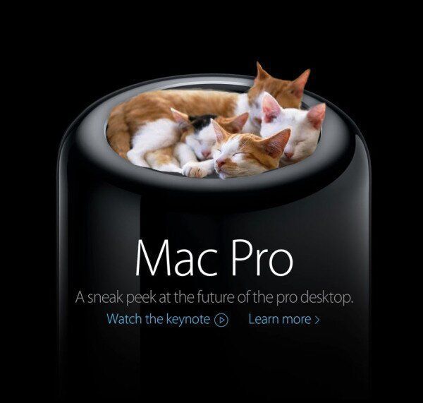 Die Vielseitigkeit des Mac Pro belegen diese Bilder: Einerseits als kuscheliges Nest für die Kätzchen zu Hause zu verwenden, ... (Quelle: twitter.com)