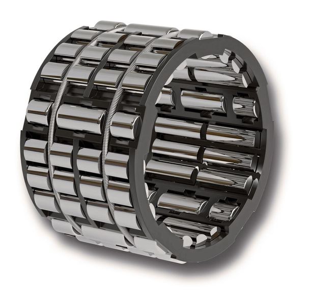 Breitspuriger Doppelreiher: Der neue E-Bike-Freilauf ER-DR von Ringspann. (Bild: Ringspann)