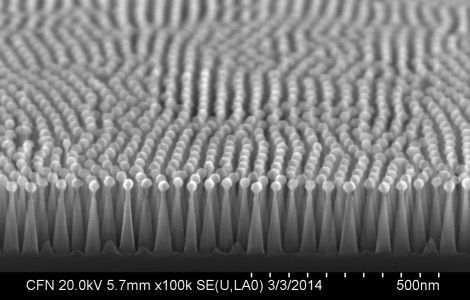 In closeup: Details of the nanotextured antireflective surface as revealed by a scanning electron microscope at the Center for Functional Nanomaterials. The tiny posts, each smaller than the wavelengths of light, are reminiscent of the structure of moths' eyes, an example of an antireflective surface found in nature. (Source: Brookhaven National Lab)