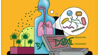 Wenn Aspergillus fumigatus seine Sporen in die Luft streut, können sie eingeatmet werden und die menschliche Lunge besiedeln. Bioinformatik-Tools können die genetische Information des Pilzes analysieren und so helfen zu verstehen, wie der Pilz das Mikrobiom der Lunge zu seinem eigenen Vorteil gestaltet. (Bild: Farida Tey & Mohammad Mirhakkak/Leibniz-HKI)