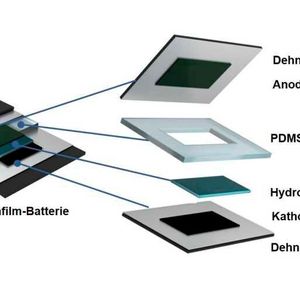 (Gruppe Niederberger, ETH Zürich)