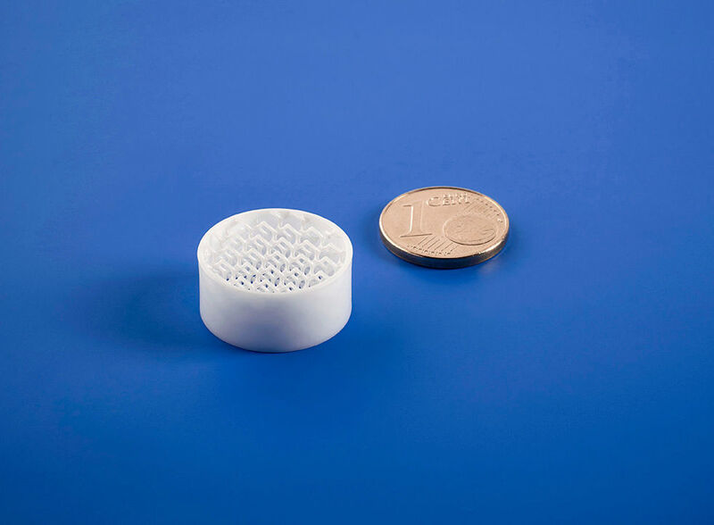 Beispiel einer bionischen Keramikstruktur, mit der sich Gewicht und Material einsparen lassen. (Steinbach)