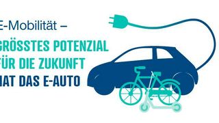 reichelt-Umfrage E-Mobilität:  (Bild: reichelt elektronik)