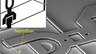 A polymer nanofiber, smaller than one hundredth the size of a human hair, mounted on a MEMS mechanical testing device. The inset shows two devices positioned perpendicularly so that adhesion and friction forces could be simultaneously measured at the intersecting point of contact. (Grainer College of Engineering)