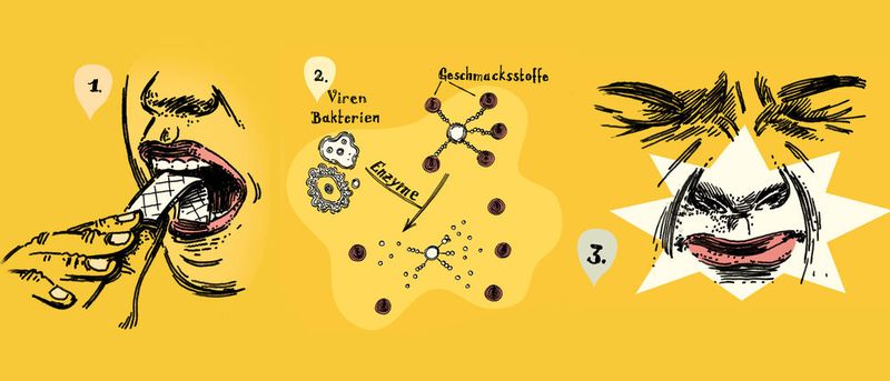 So funktioniert der Grippe-Sensor: 1. Eine infizierte oder erkrankte Person kaut einen Kaugummi. 2. Enzyme der Viren setzen die darin enthaltenen Geschmacksstoffe frei. 3. Die Person nimmt die Stoffe wahr und erkennt die Infektion.(Bild:  Christoph Mett)