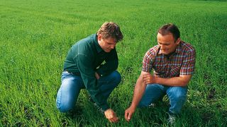 Integrated Weed Management is an investment into the future. (Picture: Bayer Crop Science AG)