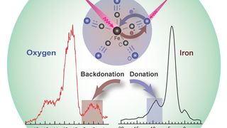Elementarste Prozesse im Rampenlicht: Donor- und Akzeptorbindungseigenschaften des Modellkatalysators [Fe(CO)5] in Lösung werden mithilfe von resonanter inelastischer Röntgenstreuung untersucht. (Grafik: HZB/E.Suljoti)