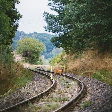 Wildtiere retten, Unfälle vermeiden: Das ist das Ziel des neuen Systems von Alstom und Flox Intelligence, das jetzt getestet wird.  (Bild: Flox Intelligence 2026)