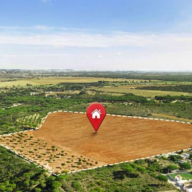 Wer ein Grundstück für sein Unternehmen mieten oder kaufen möchte, sollte aufpassen: Bei Mietverträgen genügt neuerdings die Textform. Dabei drohen wichtige Details verloren zu gehen. Man einigt sich eventuell auf etwas, ohne es vorab prüfen zu können. (Bild: freepik.com)