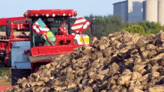 Zur Zuckerrüben-Erntezeit von Mitte September bis etwa Mitte Dezember laufen die Rübenvollernter auf Hochtouren. (© overcrew/Fotolia.com)