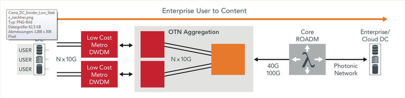 Abbildung 2: In User-to-Content-Infrastrukturen im Bereich High-Static Demand lassen sich kostengünstige Express-Wellenlängen verwenden. (Ciena)