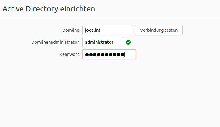 Angeben der Domänendaten für die Anbindung von Ubuntu an Active Directory. (Bild: Canonical / Joos)