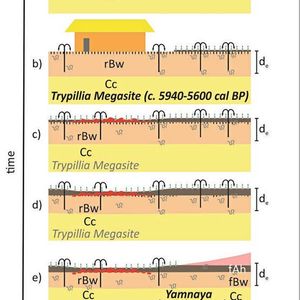 Die Bodengenese in Maidanets’ke. Oben (a) vor der kupferzeitlichen Besiedelung, darunter die Bodenbildung während der Zeit der Besiedlung (b) und danach (c–f). Es wird deutlich, dass der humose Ah-Horizont (in braun) durch die Aktivität der tiefgrabenden Regenwürmer über die Jahrhunderte allmählich aufgebaut und immer mächtiger wird. (Bild:  Geoderma/Stefan Dreibrodt)