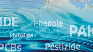 Abb. 1: Türkische Wissenschaftler haben eine effiziente Methode für die Routineanalytik zum Nachweis diverser Umweltgifte in Ober­flächengewässern etabliert.  (Bild: © Arid Ocian; artide - stock.adobe.com [M] Frank)