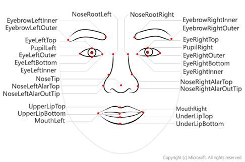 Typische Merkmale der Gesichtserkennung