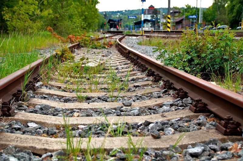 Die Deutsche Bahn will Glyphosat durch alternative Verfahren ersetzen. (gemeinfrei)