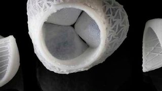 Die Klappenflügel (links und rechts) werden gezielt mit Silikonfäden verstärkt. Das gesamte Implantant umfasst zudem auch die Aortenwurzel (Mitte). ( Fergal Coulter / ETH Zürich)