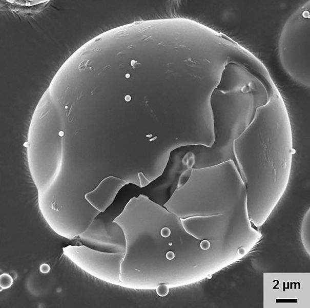 Platz 12: Fraunhofer-Gesellschaft 4,3% (im Vorjahr 5,2%) (Bild: Fraunhofer IGB)