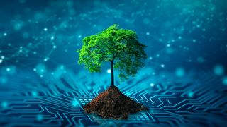 IBM sustainable services (canva)