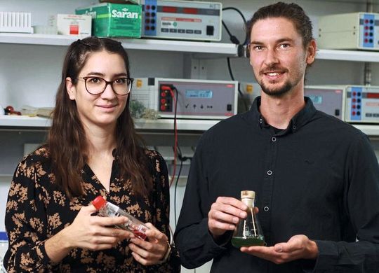 Das Team um Anna Kiefer und Justus Niemeyer setzt auf die Grünalge Chlamydomonas reinhardtii, um das Spikeprotein zu produzieren. Das Team um Anna Kiefer und Justus Niemeyer setzt auf die Grünalge Chlamydomonas reinhardtii, um das Spikeprotein zu produzieren.
