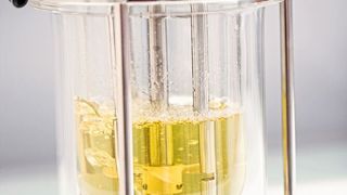 Der Sensor Dencytee Arc ermöglicht eine Echtzeit-Zelldichtemessung im Messbereich von 0 bis 200 g/L mit ± 1 % Genauigkeit (Hamilton Bonaduz)