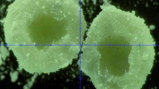 Intelligente Prozessführung erlaubt die effiziente Herstellung von Hohlkugeln, die sich aufgrund ihrer großen Oberfläche für vielversprechende Anwendungen eignen. (Bild: BASF)