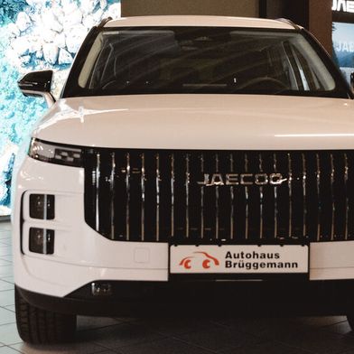 Beim Autohaus Brüggemann stehen künftig Fahrzeuge von Omoda und Jaecoo im Showroom. (Bild: Sandra Bornhorst)