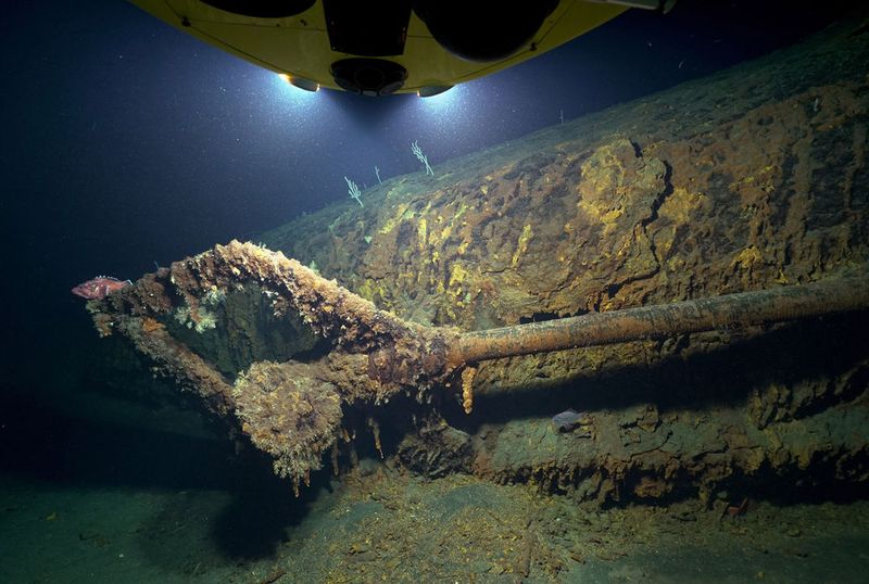 U 581 - der Propeller. Das Wrack ist mit zahlreichen Kaltwasser-Korallen bewachsen. (Rebikoff Niggeler Stiftung, Horta, Faial, Portugal)