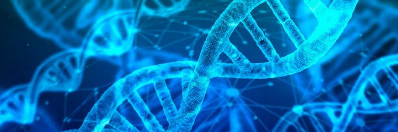 Die Ära anonymer Teilnahme an offenen Blockchain-Ökosystemen neigt sich ihrem Ende zu. Eine Technologie der Vertrauensbildung braucht digitale Identitäten.(Bild:  gemeinfrei /  Pixabay)