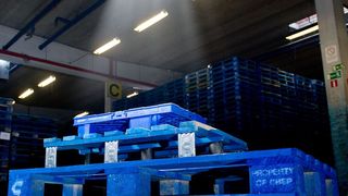 In sieben Ländern Mittel- und Osteuropas stellt Procter & Gamble seinen Warenverkehr auf das gepoolte Palettensystem von Chep um. (Bild: Chep)