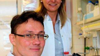 Prof. Dr. Karina Reiß (hinten) und Dr. Anselm Sommer, Exzellenzcluster Entzündungsforschung und Klinik für Dermatologie, Venerologie und Allergologie UKSH Kiel, erforschen Enzyme (Proteasen) und deren Hemmstoffe, die von Bedeutung für Entzündungskrankheiten sind. (Bild: Kerstin Nees)