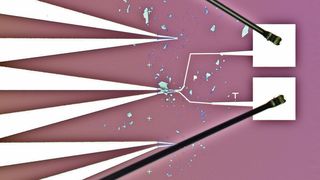 Mikroskopbild von WSe2-Proben, mit Elektroden-Anschluss (TU Wien)