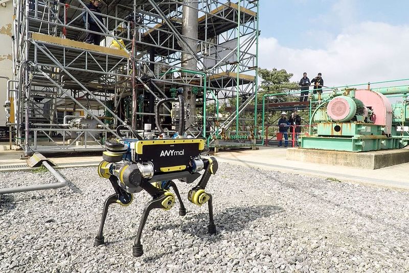 Anymal kann sehen, hören, spüren und Türen öffnen.  (Anybotics)
