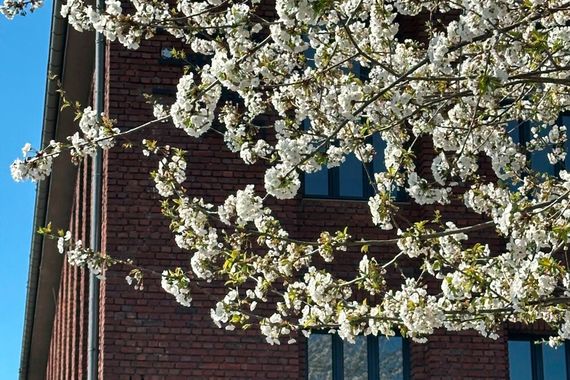 Bei bestem Wetter und frühlingshaften Temperaturen hat Acer zum Channel Kickoff 2025 ins Bauwerk nach Köln eingeladen. (Bild: Vogel IT-Medien)