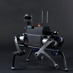 (ETH Zürich/ Robotic Systems Lab)