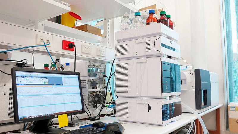 Metabolomics-Plattform zur Bestimmung von Stoffwechselprodukten (Alexander Karabatsiakis)