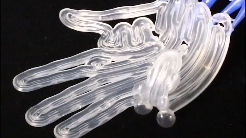 What if you could 3D print a soft robot with predictable shape-shifting capabilities already built in?(Image: Picture:  Harvard University)