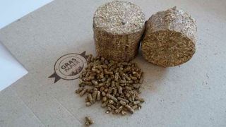 In Gras-Pellets steckt das Potenzial, die Welt ein Stück weit „grüner“ zu machen. (Creapaper)