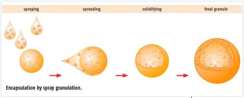 Encapsulation by spray granulation. (Glatt Ingenieurtechnik)