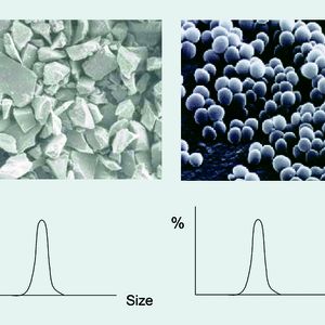 Abb. 2 Zwei unterschiedliche Proben würden als gleich bezeichnet, würde man nur die Partikelgrößenverteilung in Betracht ziehen.