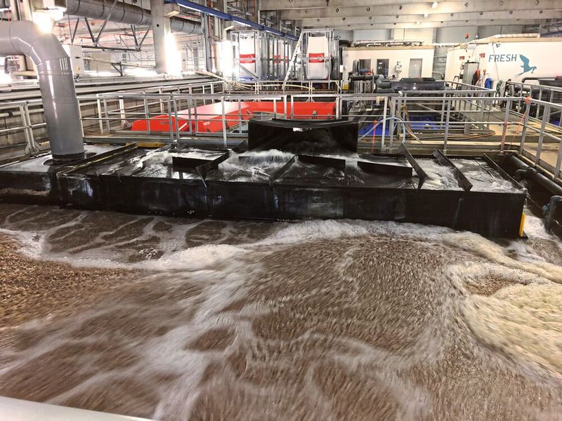 Urbane Meeresfischfarm: In jedem Salzwasser-Pool von Fresh Völklingen sorgt ein eingener geschlossener Wasserkreislauf für fangfrischen Meeresfisch. Urbane Meeresfischfarm: In jedem Salzwasser-Pool von Fresh Völklingen sorgt ein eingener geschlossener Wasserkreislauf für fangfrischen Meeresfisch.