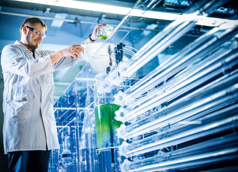 Die Algen werden in die BionicCellFactory eingefüllt. (Bild: Festo)