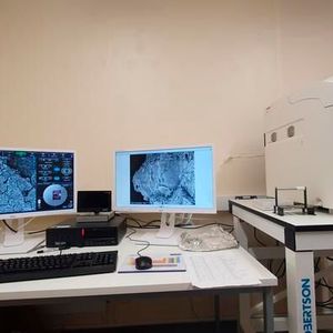 Scanning Electron Microscopy(Source:  Lara González Carretero)