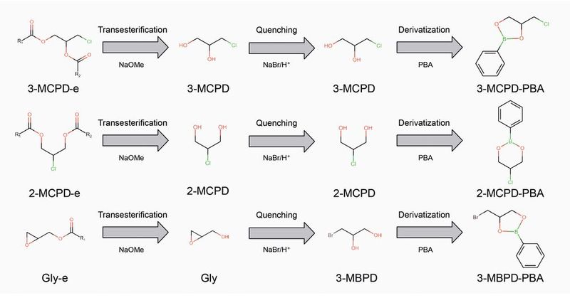 Abb. 2: Übersicht der chemischen Reaktionen, die 2-, 3-MCPD und Glycidol während der Probenvorbereitung im Rahmen der Zwagerman/Overman-Methode durchlaufen.  (Bild: Gerstel)