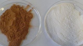 Die nachwachsenden Rohstoffe Lignin (braun) und Zellulose (weiß). (Ricarda Böhm)